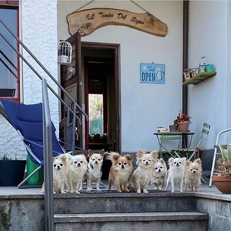 B&B Il Tempo Del Sogno Con Cani E Gatti Pet&Breakfast Baveno Zewnętrze zdjęcie