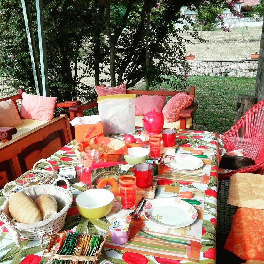B&B Il Tempo Del Sogno Con Cani E Gatti Pet&Breakfast Baveno Zewnętrze zdjęcie