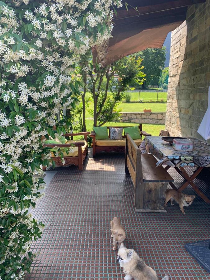 B&B Il Tempo Del Sogno Con Cani E Gatti Pet&Breakfast Baveno Zewnętrze zdjęcie